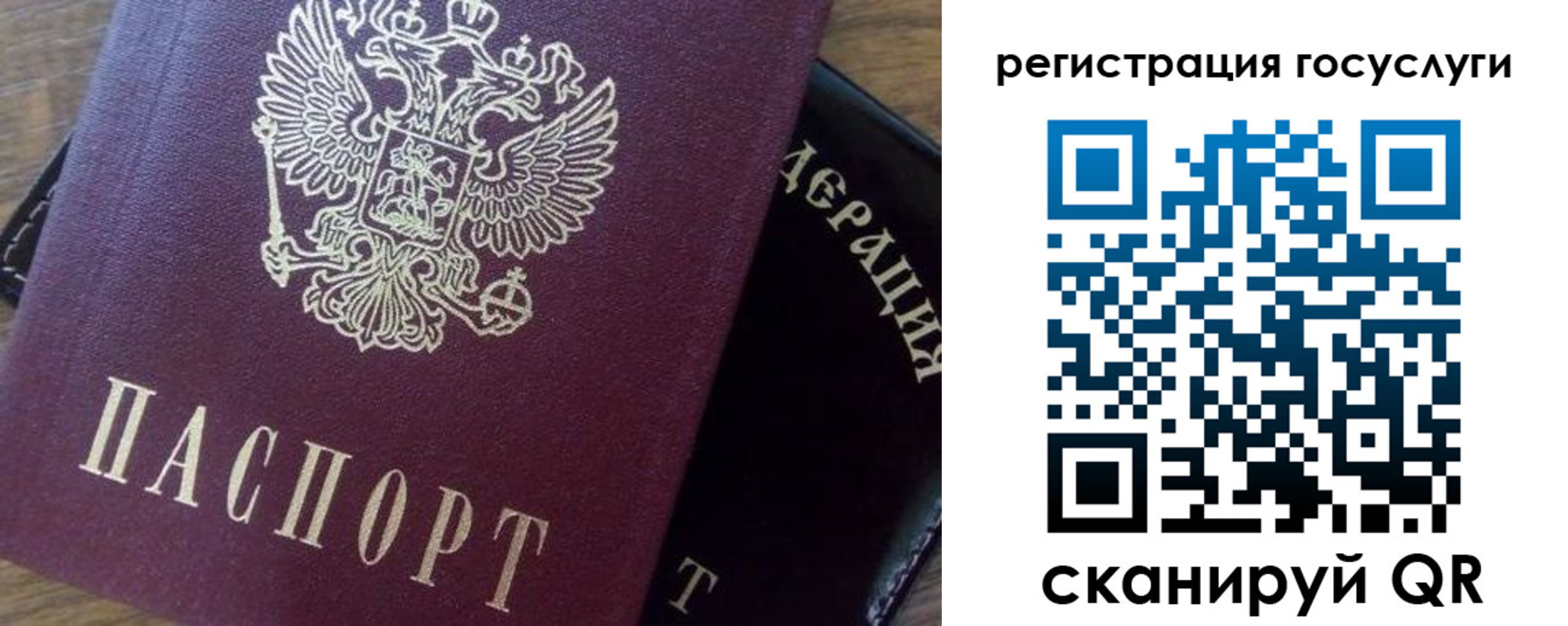 миграционный учет в Амурской области